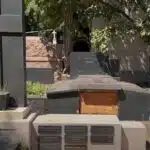 Cemitério da Consolação em São Paulo