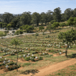 Cemitério Itaquera SP: história, estrutura e informações essenciais Cemitério de Itaquera/SP